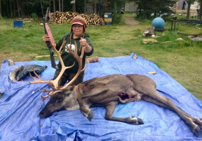 Jean Hunter harvests a bull caribou that was shot during her camping trip.